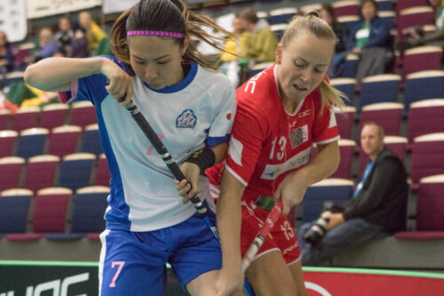 22891165663_13cb2b90ce_c